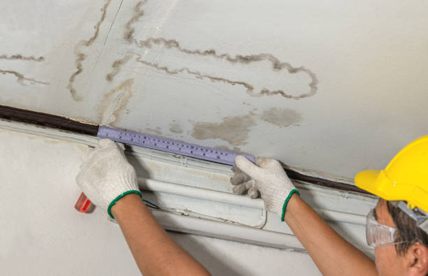 Reliable Water Damage contractor in Junction City, OH by Water Damage Irwin